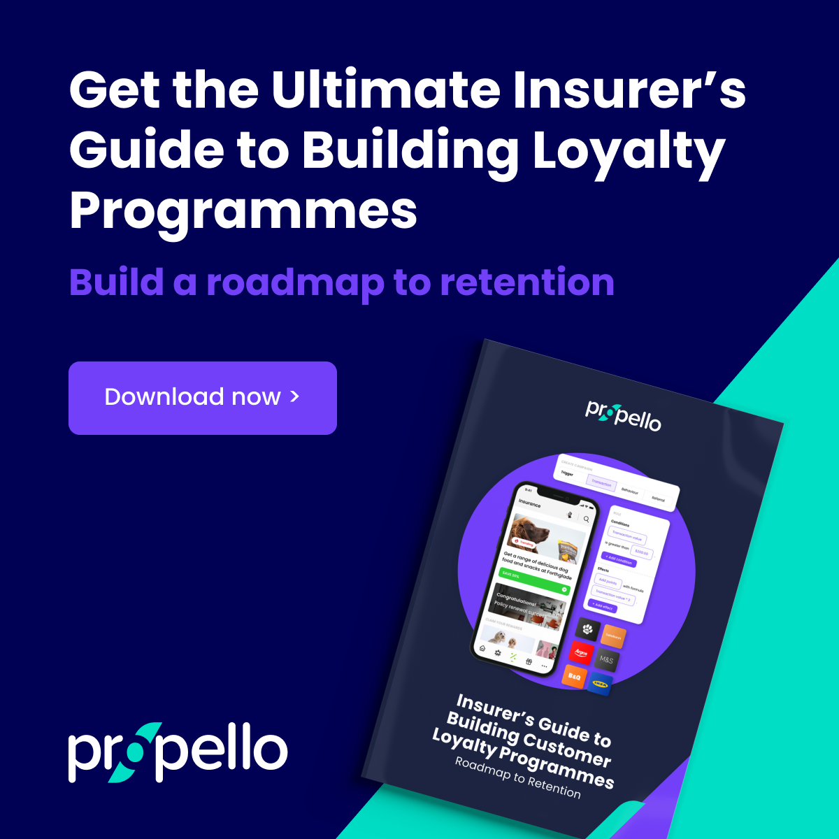 Insurance Customer Loyalty Programme Guide