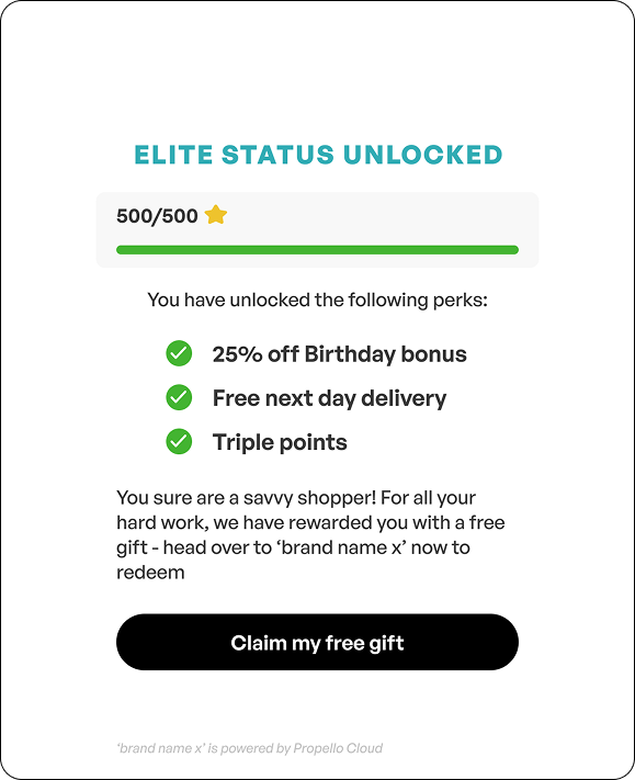 Premium tier benefits within hybrid loyalty programme